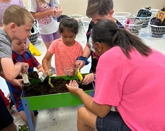 a group of children planting seeds in a box
